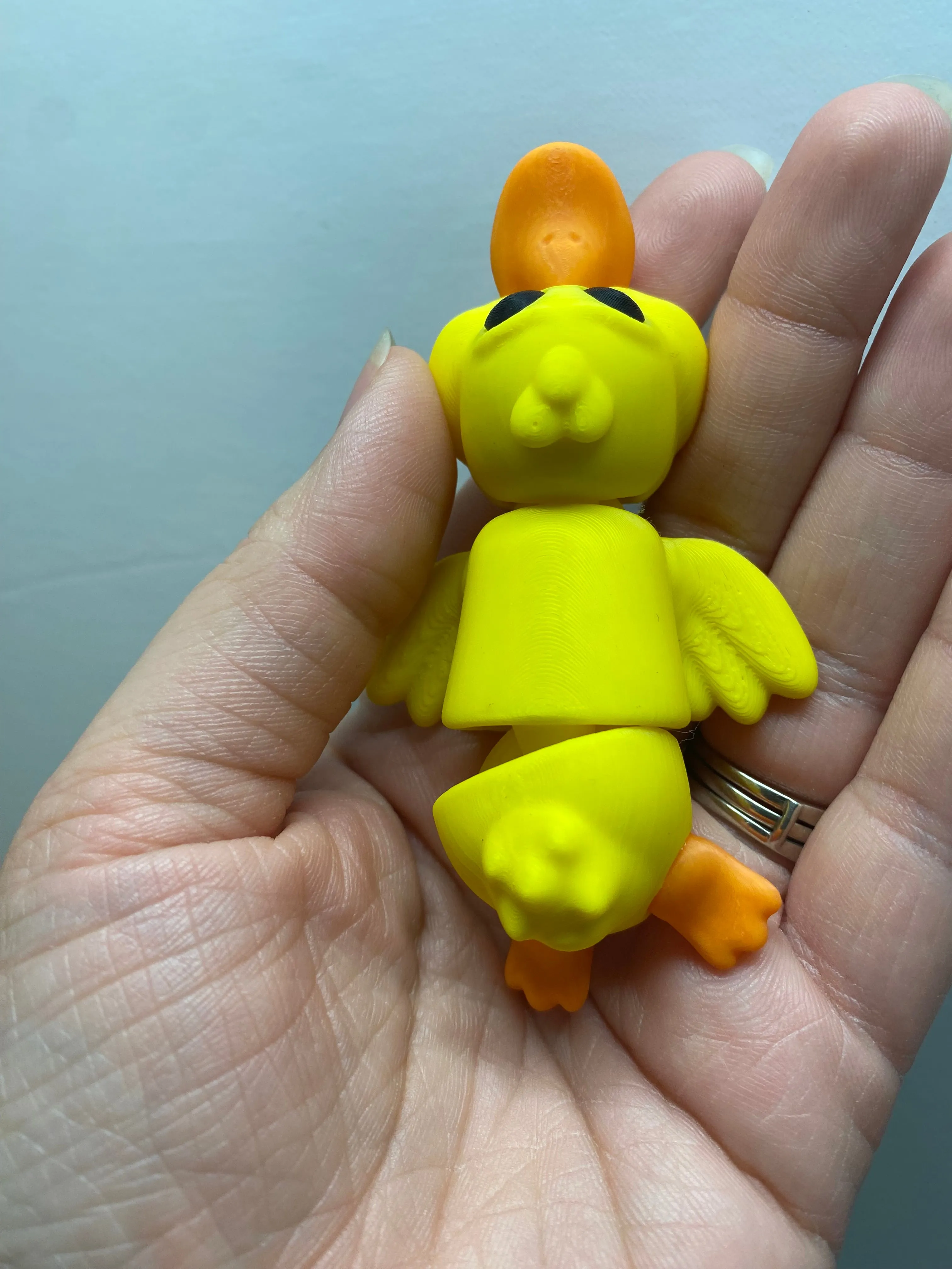 Duck Pocket Pal