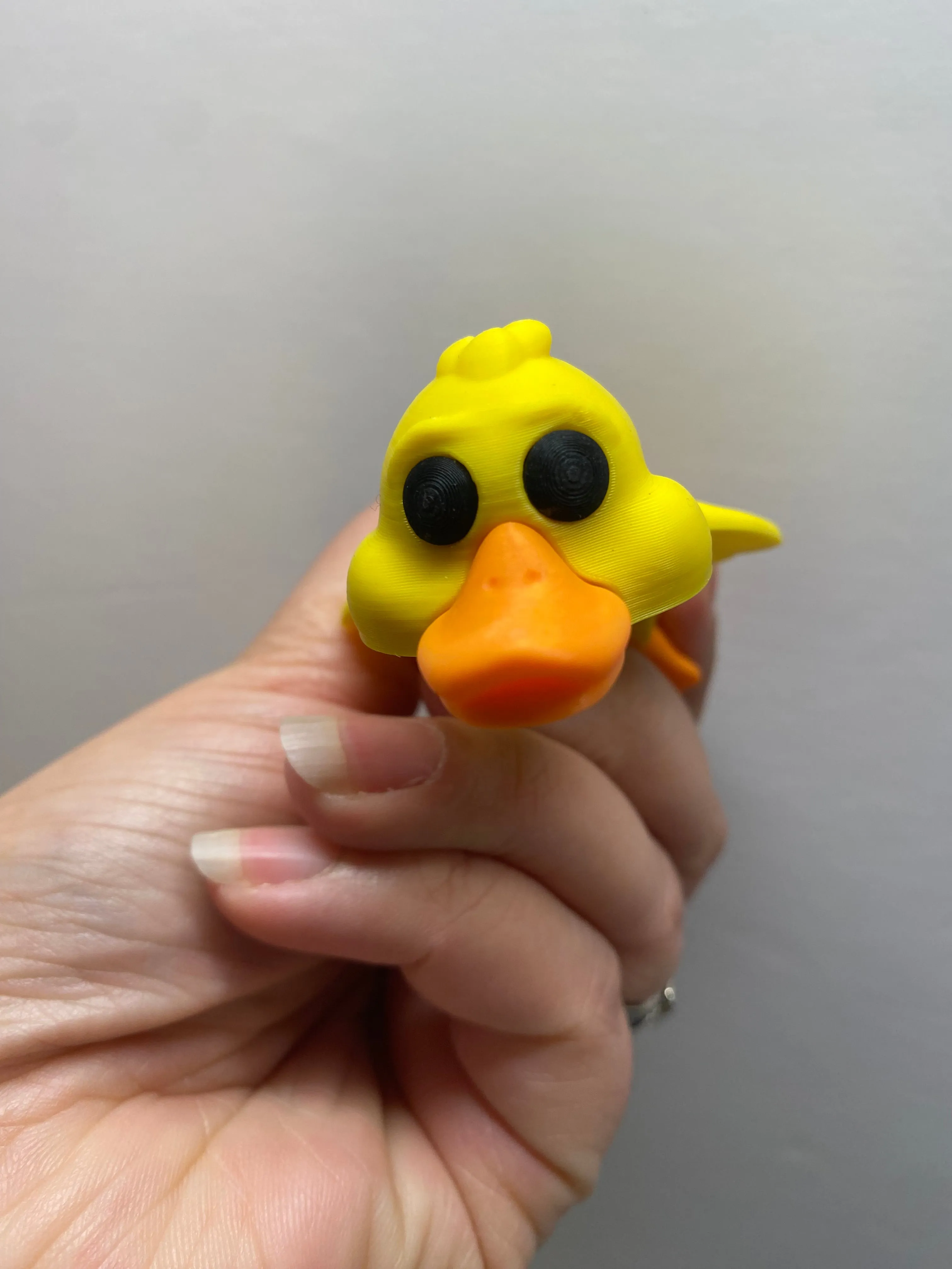 Duck Pocket Pal