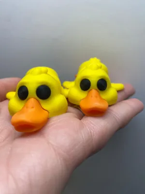 Duck Pocket Pal