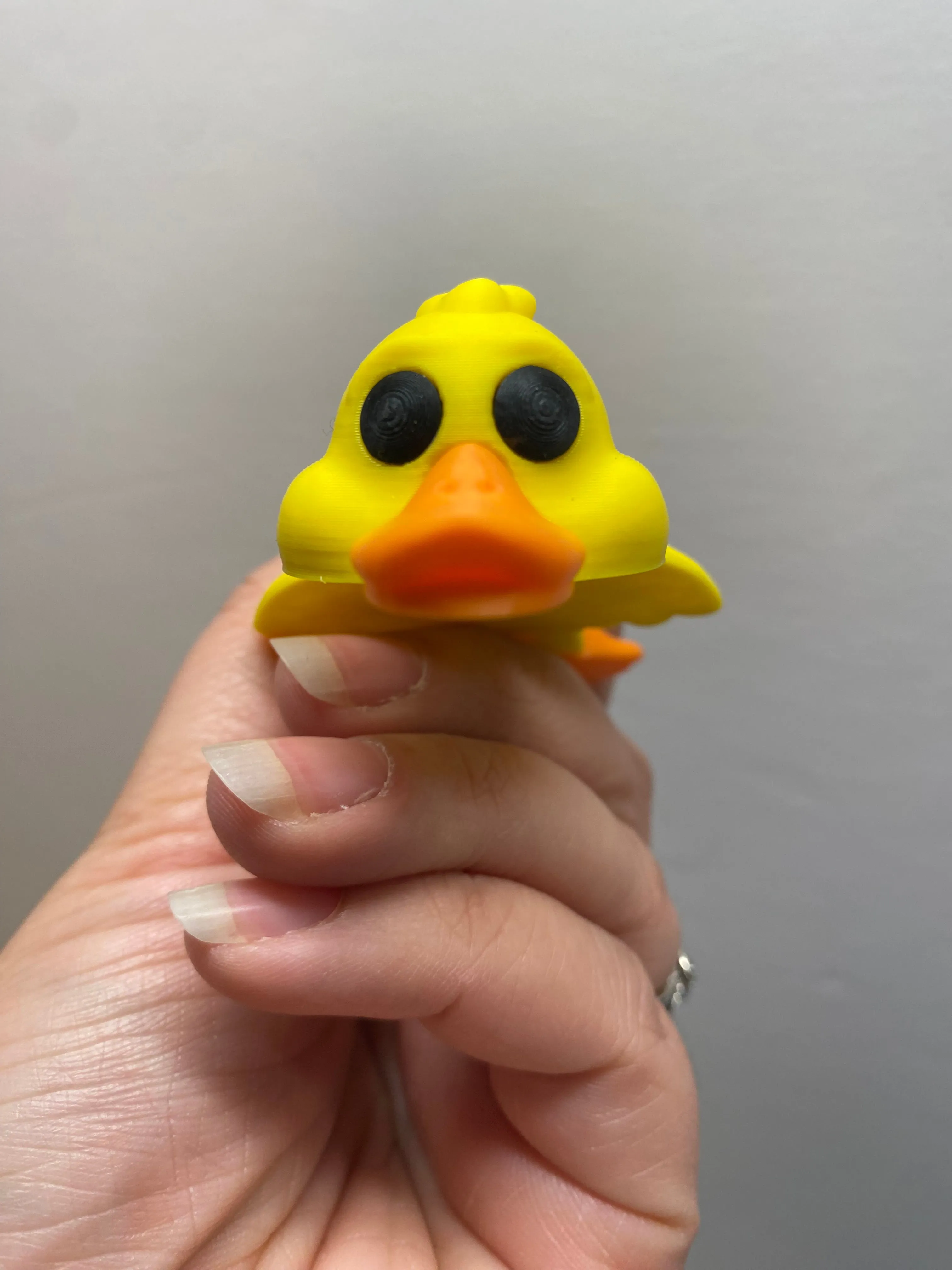Duck Pocket Pal