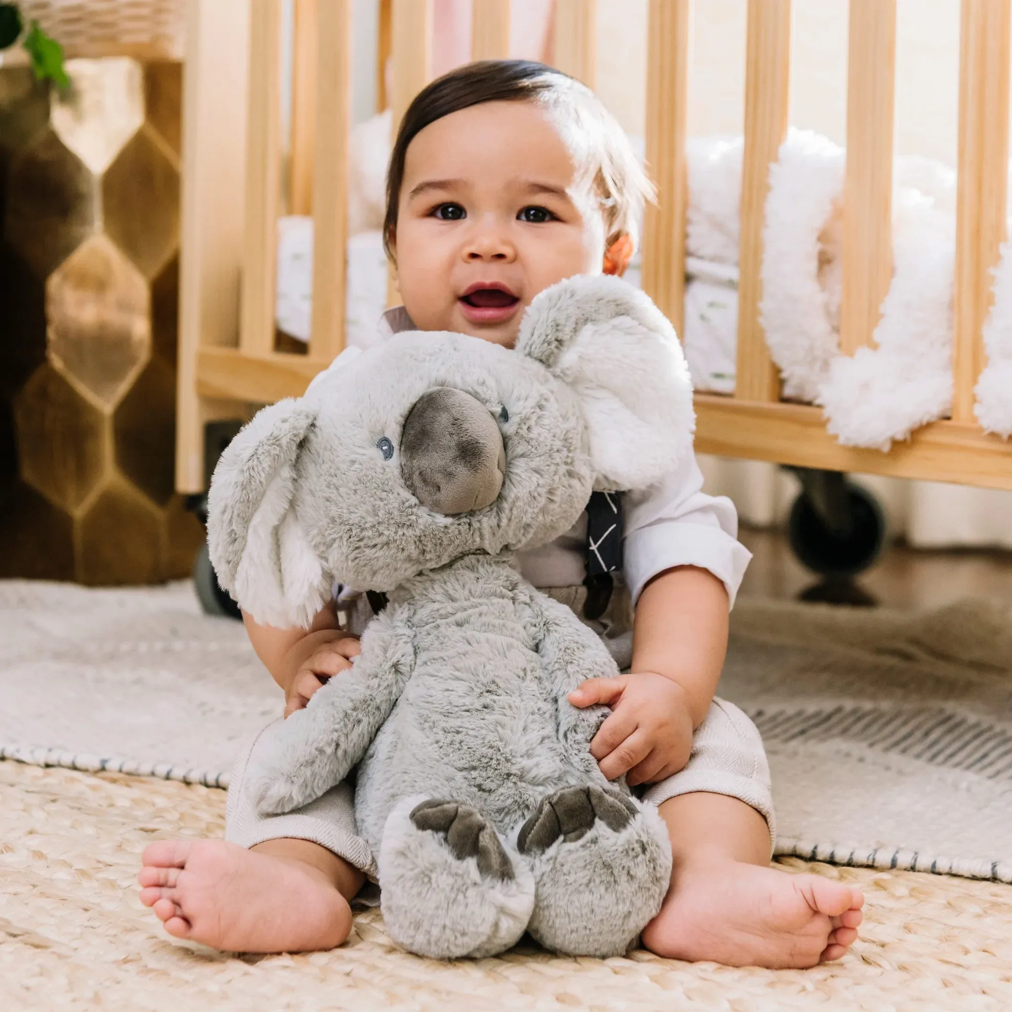 GUND Lil Luv Shay the Koala Bear