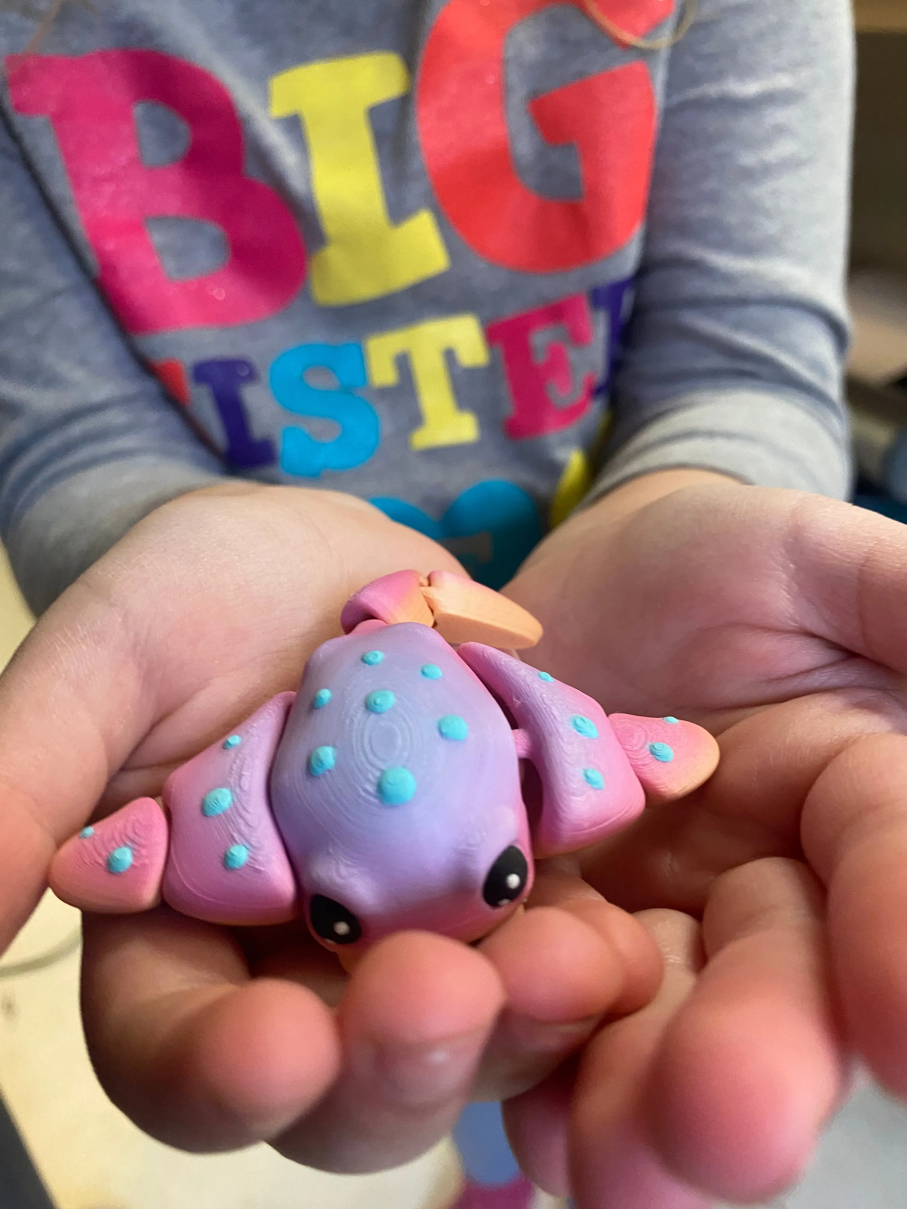 Manta Ray Pocket Pets